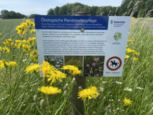 Schild auf einer Wiese mit gelben Blumen erklärt ökologische Randstreifenpflege in Gütersloh, um Artenvielfalt zu fördern.